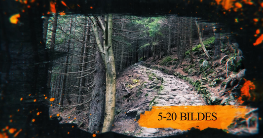 Action Slide Show [5-20]