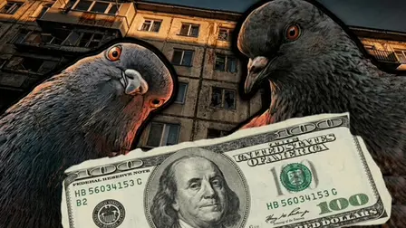 Survival for 100 dollars game banner with two realistic pigeons staring down at a crumpled hundred dollar bill in front of an old apartment building.