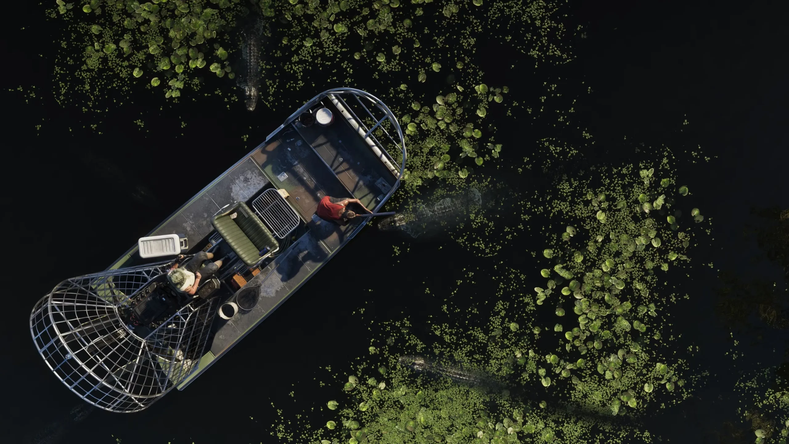 Purva laiva no augšas ar diviem cilvēkiem starp ūdensrozēm un aligatoriem spēlē GTA 6.